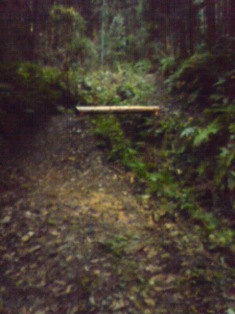 0812211.jpg 0812211.jpg