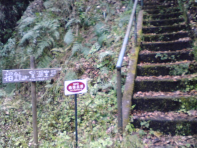 KC380034.jpg KC380034.jpg