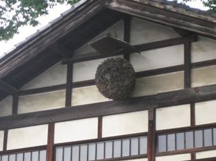 IMG_0406.JPG IMG_0406.JPG