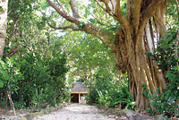 103ohama 小浜御嶽