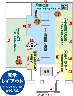 展示レイアウト