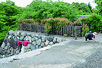 博物館周辺の清掃活動