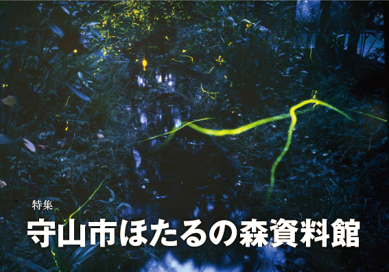 特集：守山市ほたるの森資料館