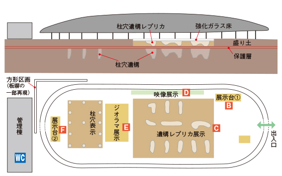 遺構展示施設の側面・平面図