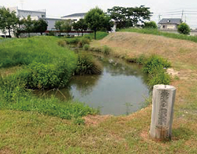 下之郷遺跡史跡公園の復元環濠