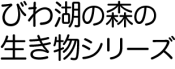 びわ湖の森と生き物